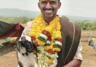 From Shepherd's Trail to Civil Services:   Beerappa’s Journey of Grit and Glory