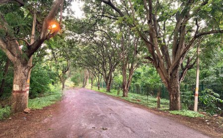 “Save Jnanabharathi Biopark”: Biodiversity Destruction in Bangalore University Campus Sparks Public Outcry