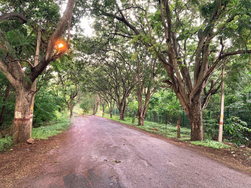 “Save Jnanabharathi Biopark”: Biodiversity Destruction in Bangalore University Campus Sparks Public Outcry